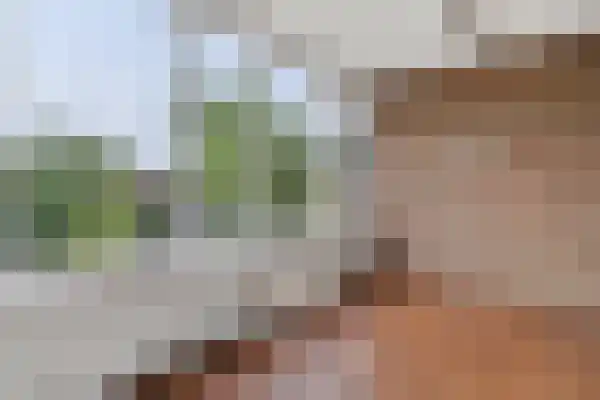 Munte 21 Veendam thumbnail 25