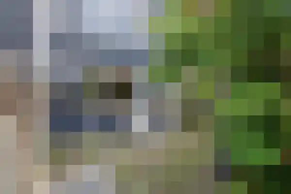 Munte 21 Veendam thumbnail 33