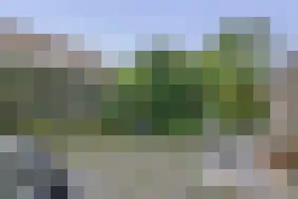 Munte 21 Veendam thumbnail 34