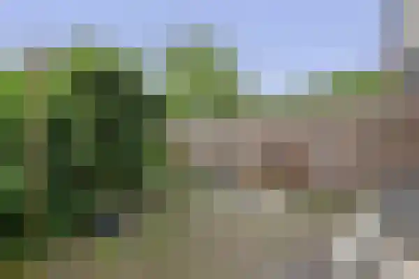 Munte 21 Veendam thumbnail 35