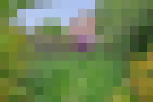 Munte 21 Veendam thumbnail 36