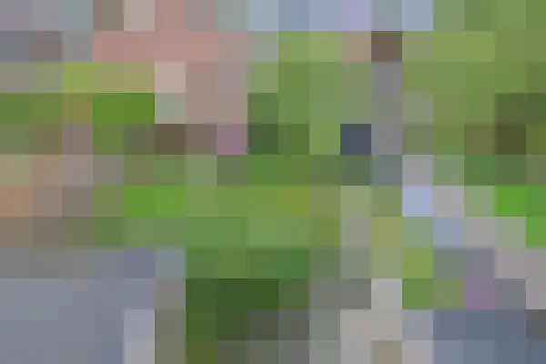 Munte 21 Veendam thumbnail 37