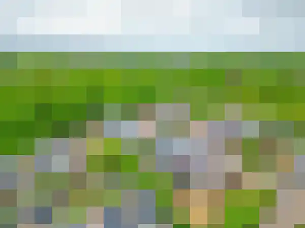 Munte 21 Veendam thumbnail 42