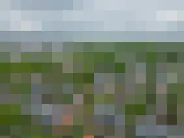 Munte 21 Veendam thumbnail 43