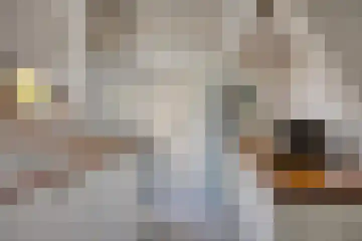 Muntelplein 10 's-Hertogenbosch thumbnail 11