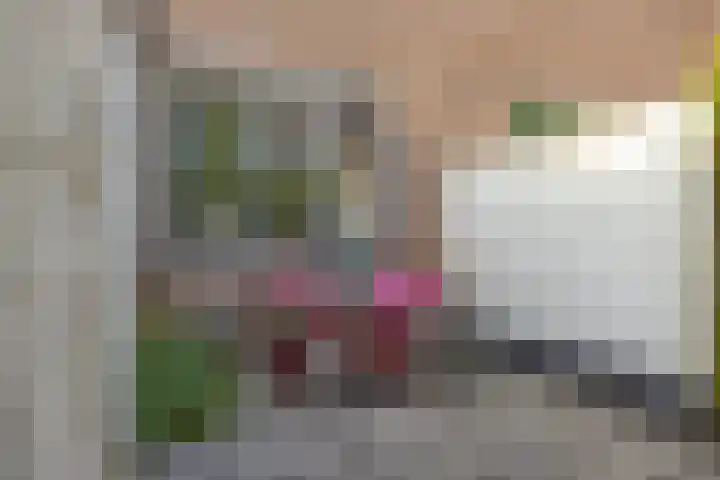 Muntelplein 10 's-Hertogenbosch thumbnail 27