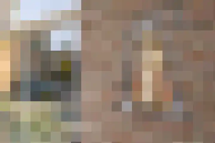 Muntelplein 10 's-Hertogenbosch thumbnail 33