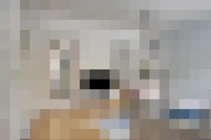 Muntelplein 10 's-Hertogenbosch thumbnail 7