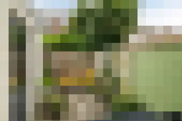 Muntelplein 32 's-Hertogenbosch thumbnail 24