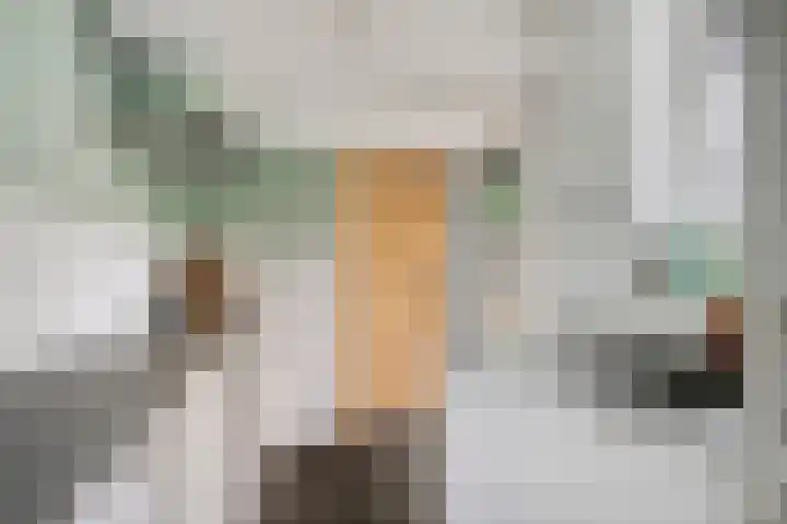 Muntelplein 32 's-Hertogenbosch thumbnail 8