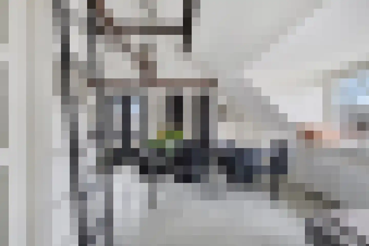 Muntelstraat 10 's-Hertogenbosch thumbnail 6