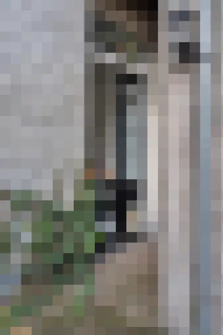 Muntelstraat 13 's-Hertogenbosch thumbnail 27