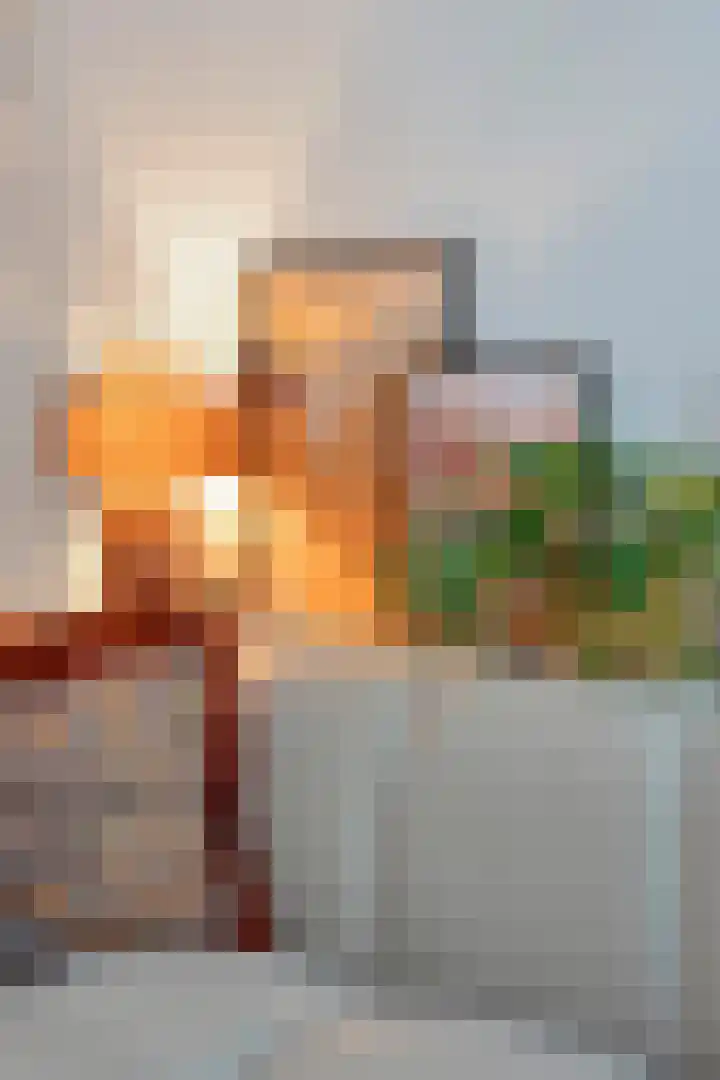 Muntelstraat 13 's-Hertogenbosch thumbnail 34