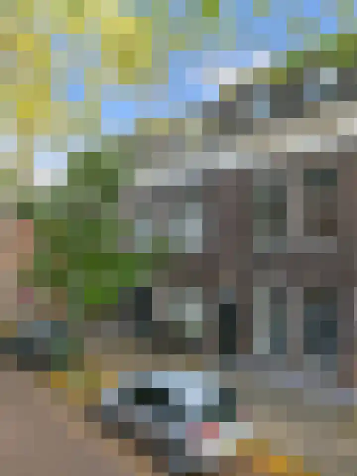 Muntelstraat 13 's-Hertogenbosch thumbnail 47