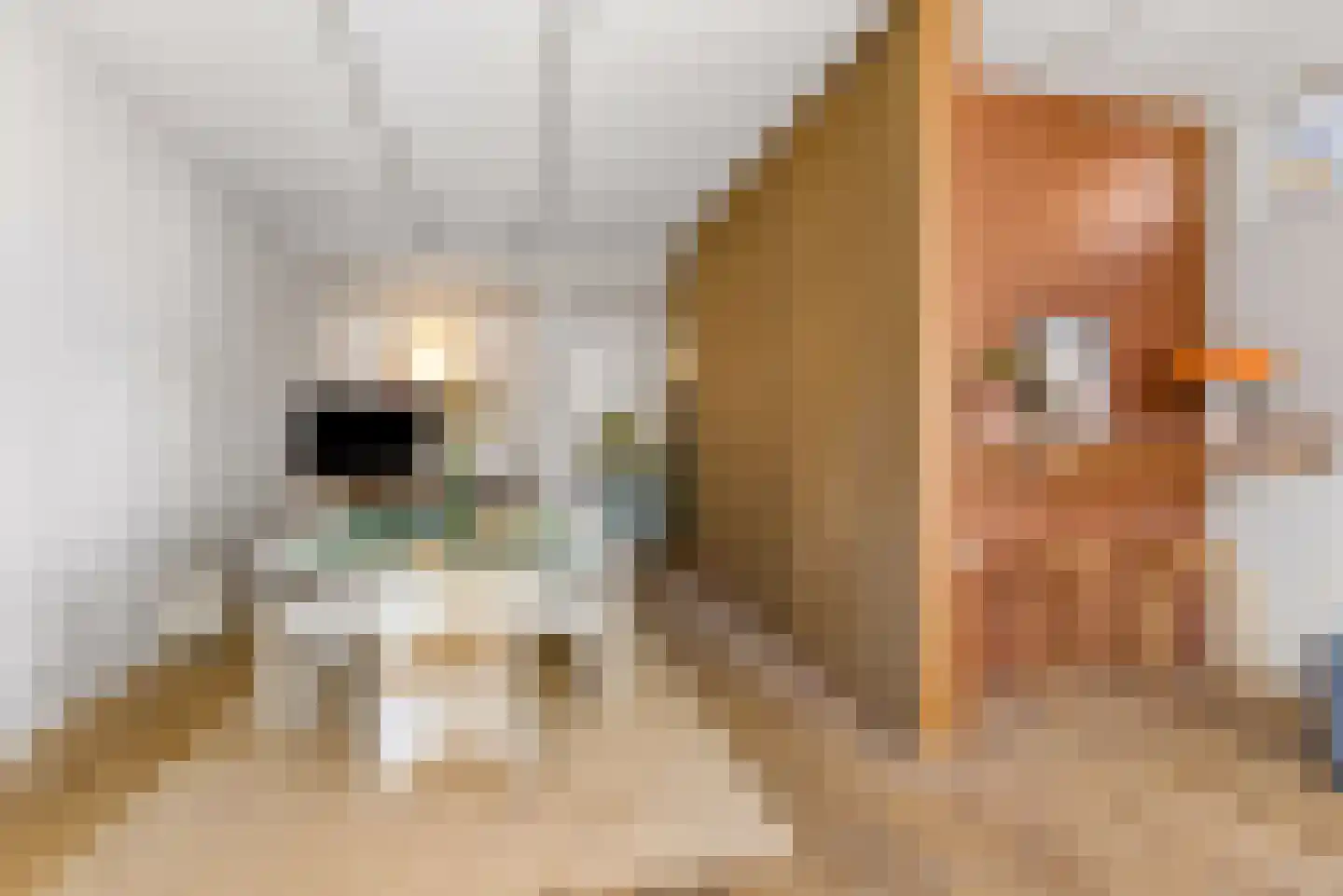 Muntelstraat 2 's-Hertogenbosch thumbnail 11