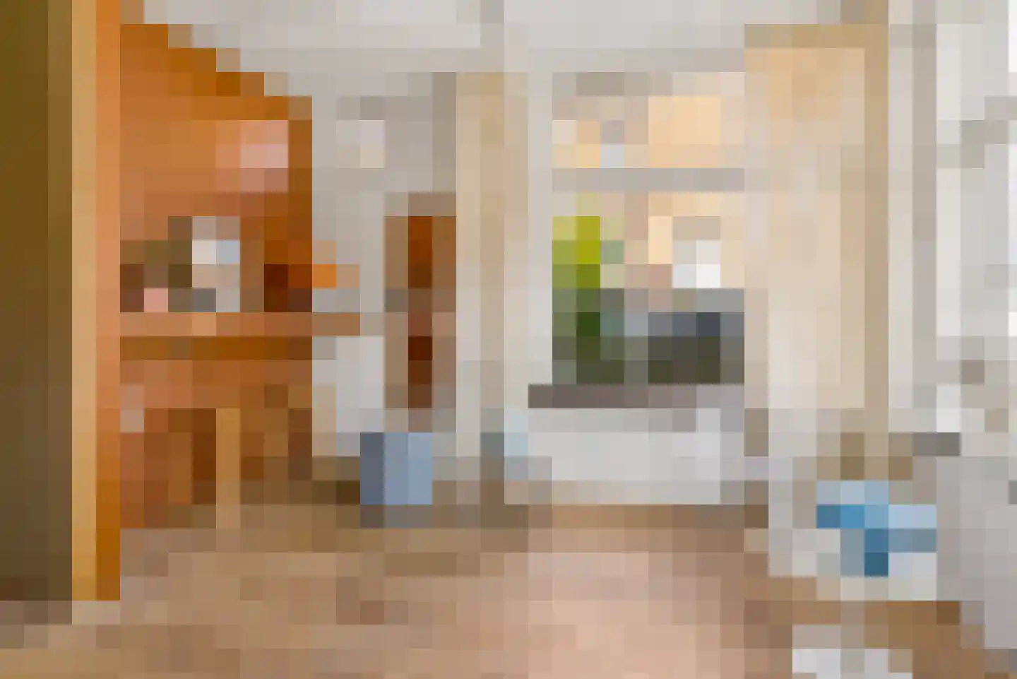 Muntelstraat 2 's-Hertogenbosch thumbnail 12