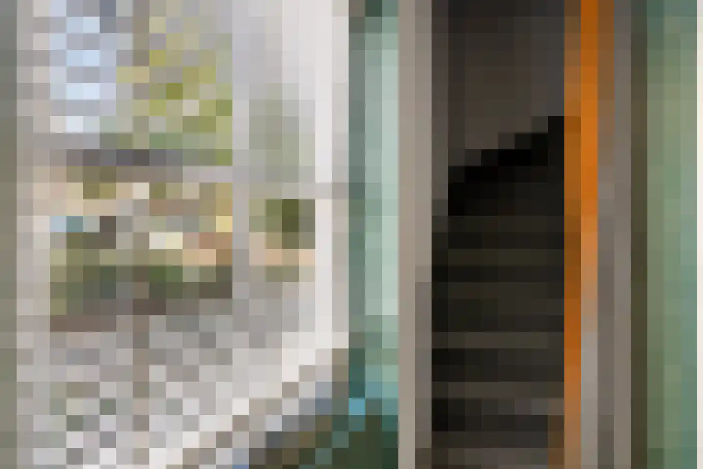 Muntelstraat 2 's-Hertogenbosch thumbnail 14