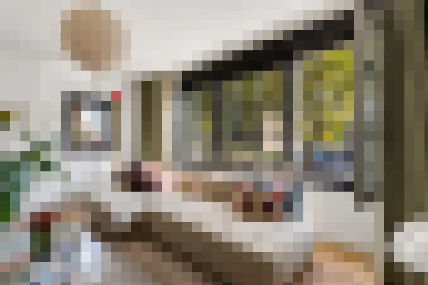 Muntelstraat 2 's-Hertogenbosch thumbnail 16