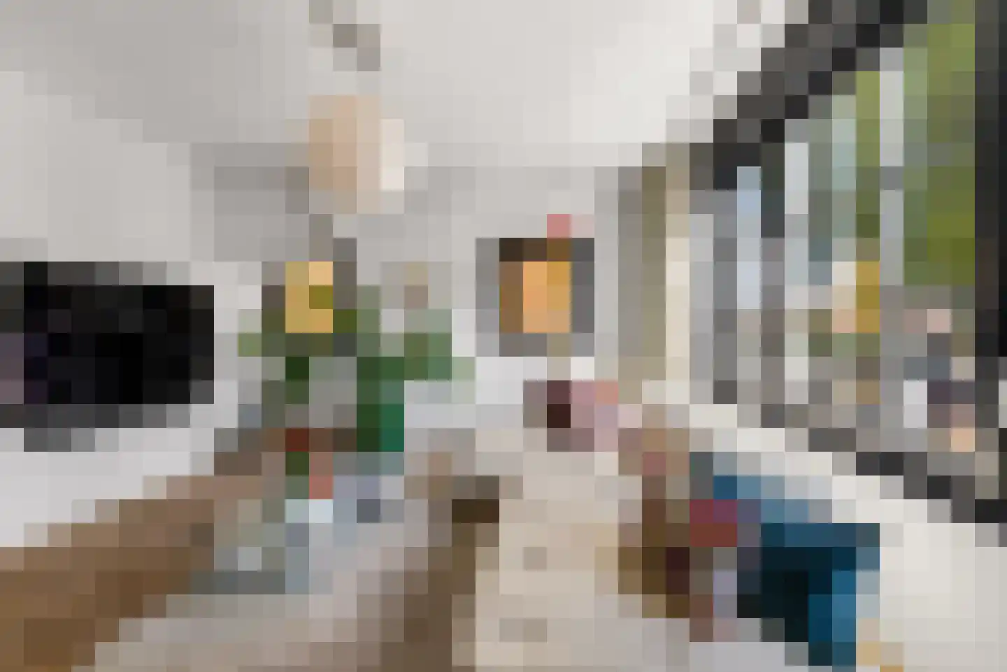 Muntelstraat 2 's-Hertogenbosch thumbnail 18
