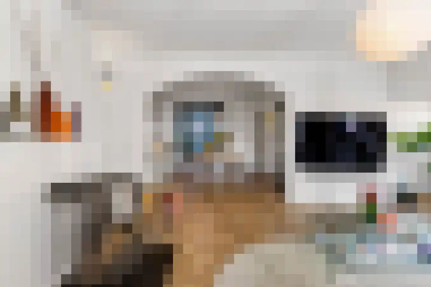 Muntelstraat 2 's-Hertogenbosch thumbnail 19