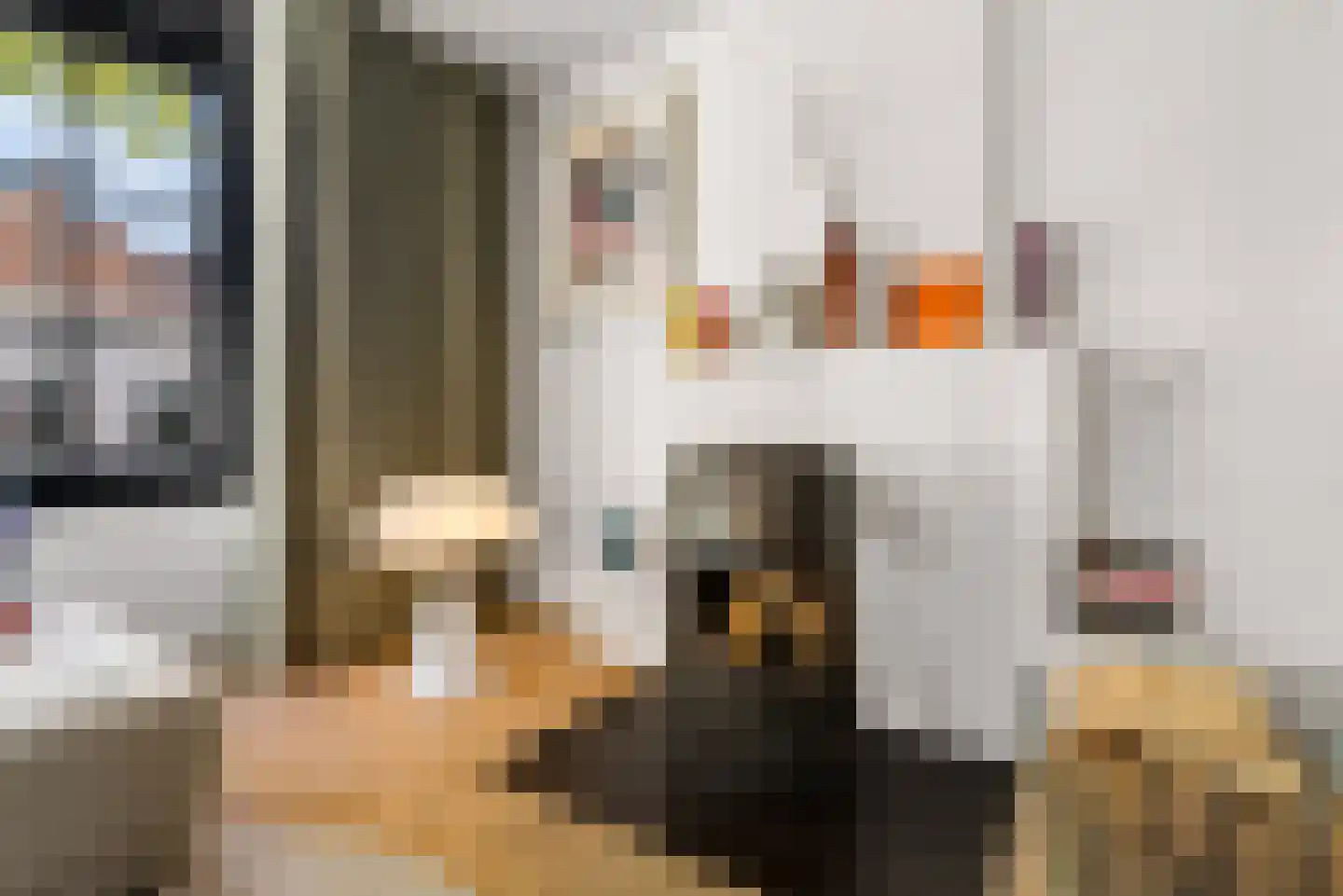 Muntelstraat 2 's-Hertogenbosch thumbnail 20