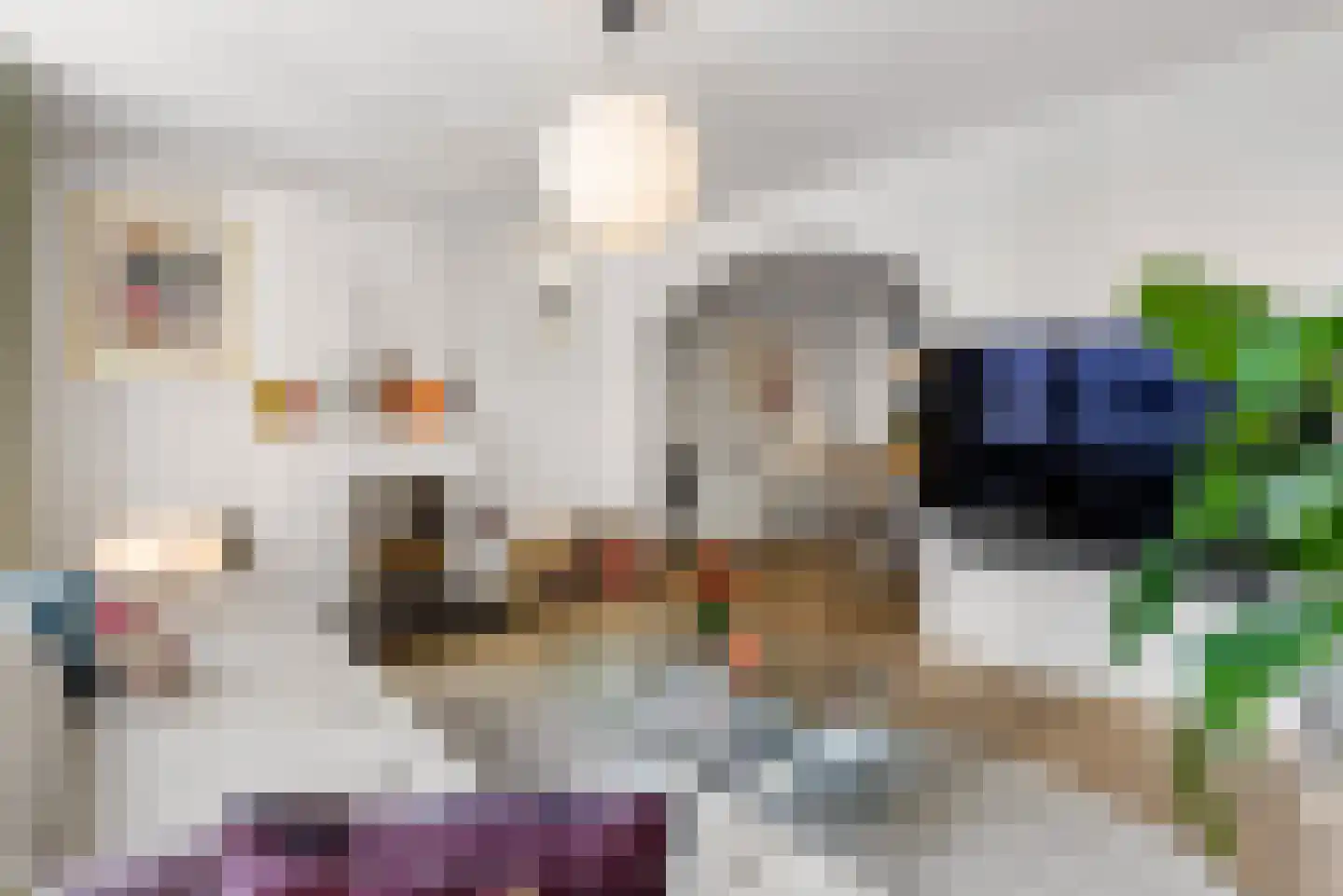 Muntelstraat 2 's-Hertogenbosch thumbnail 21