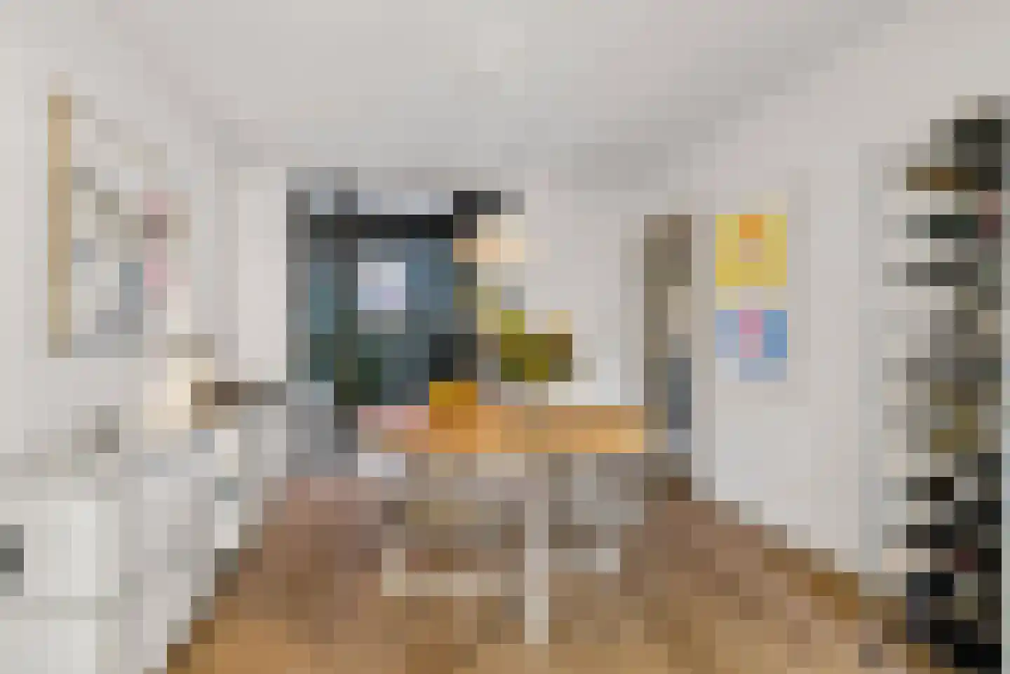 Muntelstraat 2 's-Hertogenbosch thumbnail 22