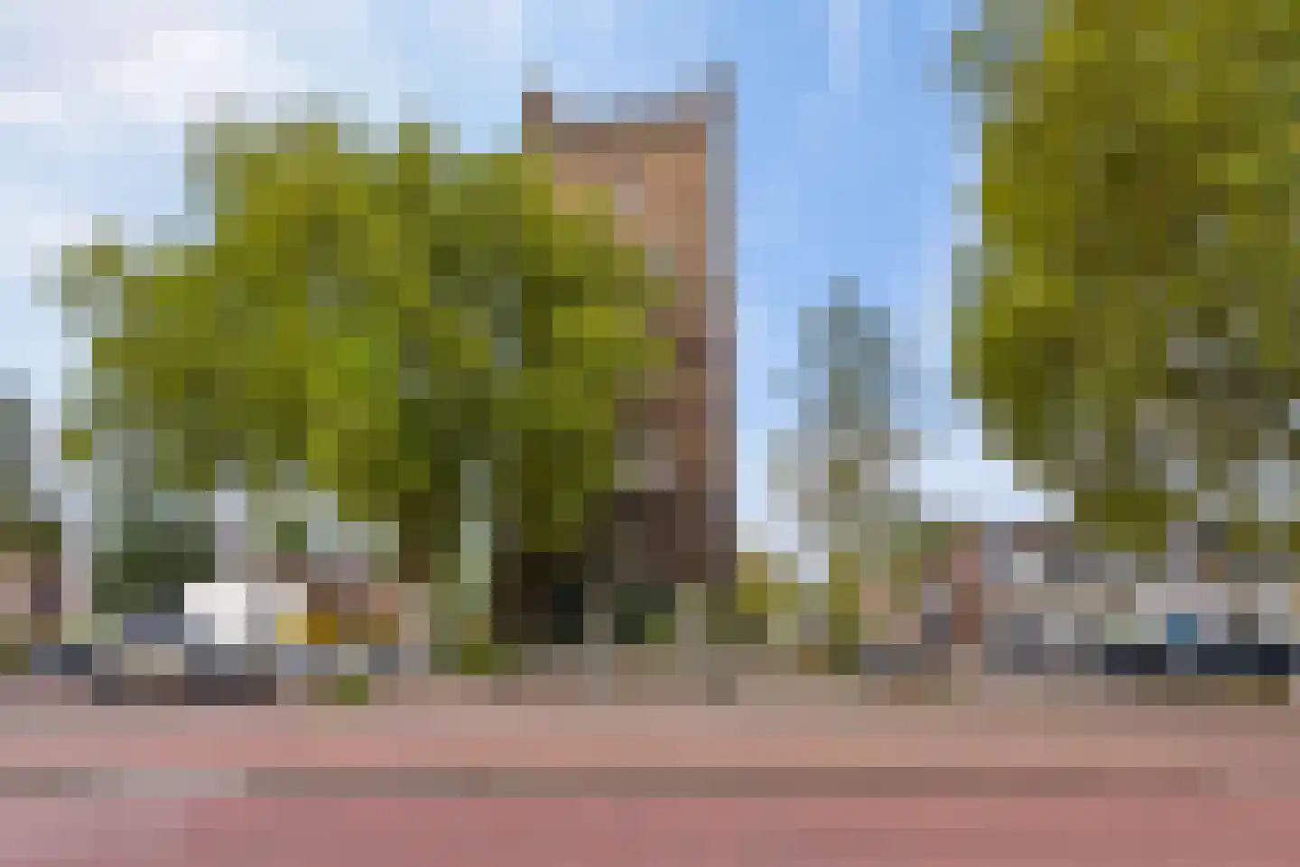 Muntelstraat 2 's-Hertogenbosch thumbnail 38