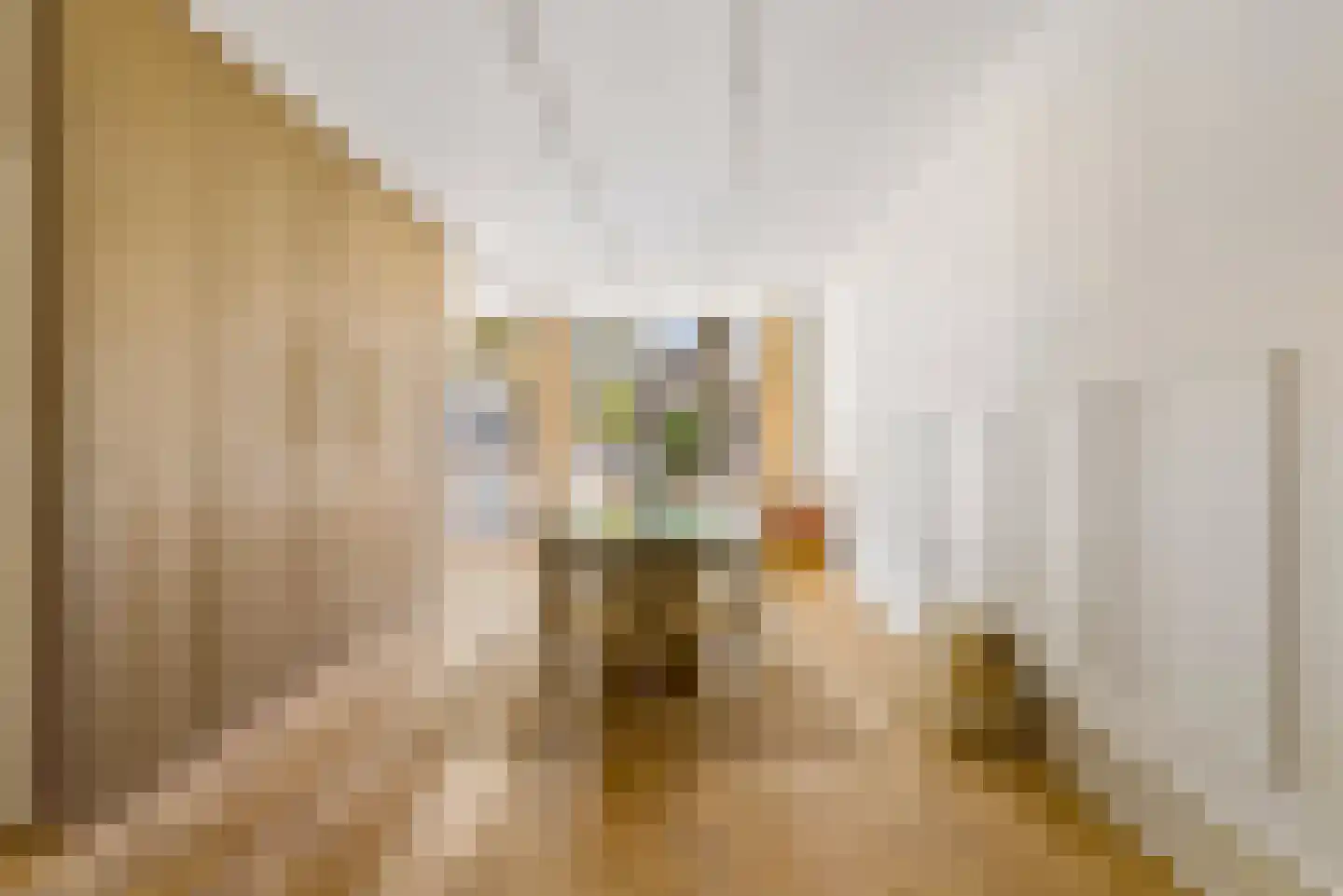 Muntelstraat 2 's-Hertogenbosch thumbnail 4