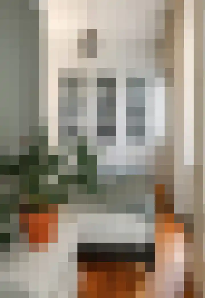 Muntelstraat 24 's-Hertogenbosch thumbnail 14