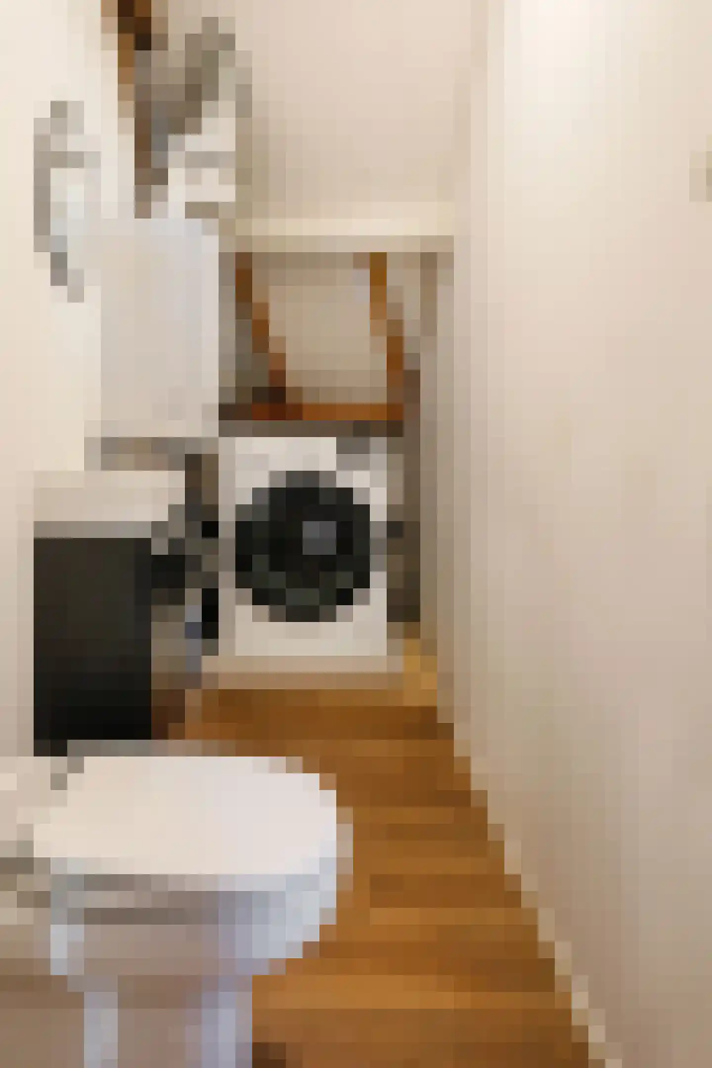 Muntelstraat 26 's-Hertogenbosch thumbnail 38