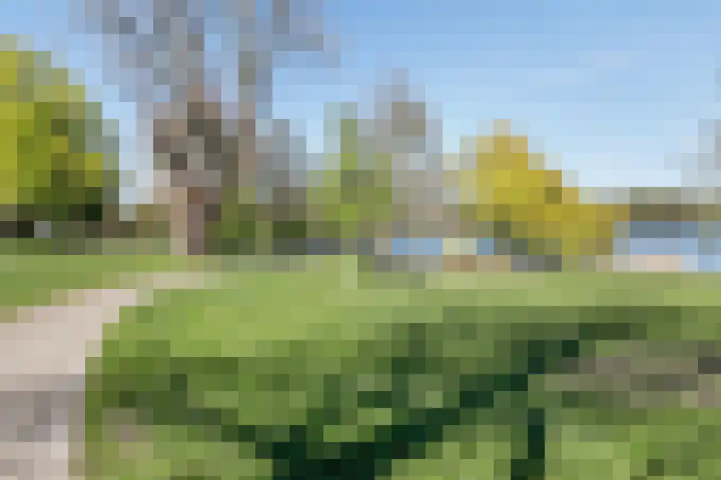Muntelstraat 26 's-Hertogenbosch thumbnail 46