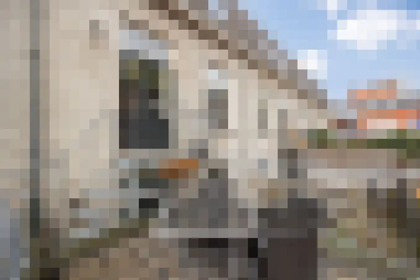 Muntelstraat 7 's-Hertogenbosch thumbnail 12
