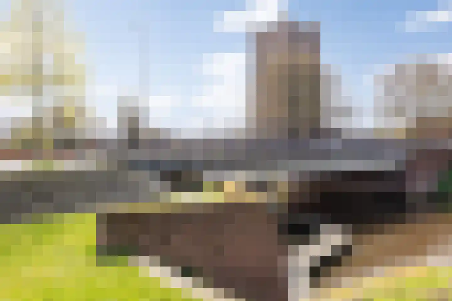 Muntelstraat 7 's-Hertogenbosch thumbnail 33