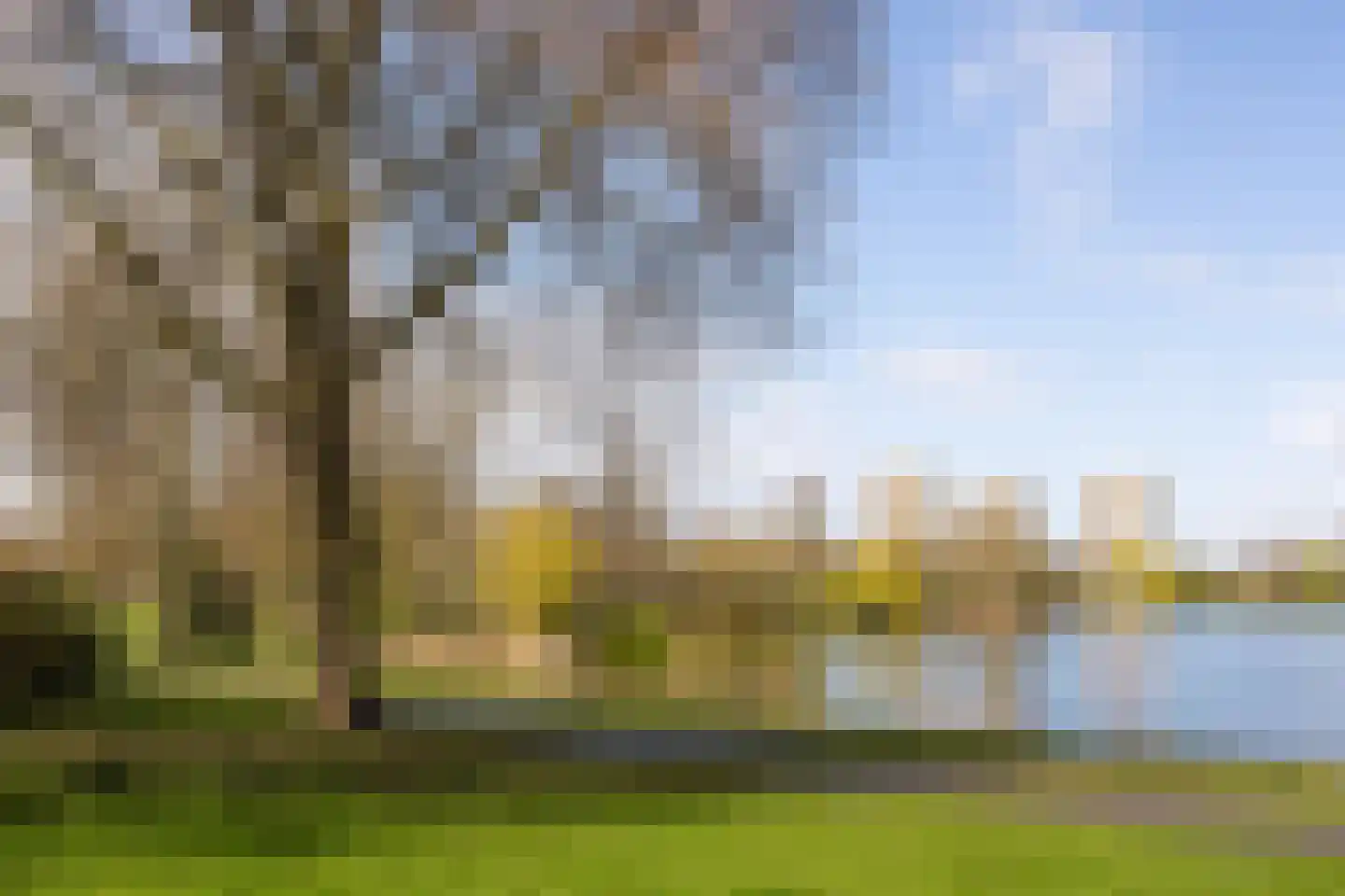 Muntelstraat 7 's-Hertogenbosch thumbnail 34