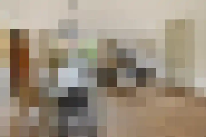 Munteltuinen 17 's-Hertogenbosch thumbnail 10
