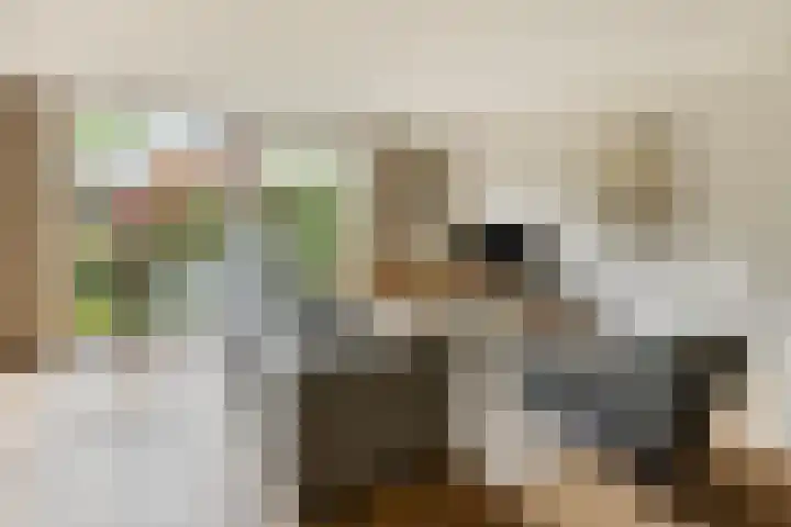 Munteltuinen 17 's-Hertogenbosch thumbnail 11