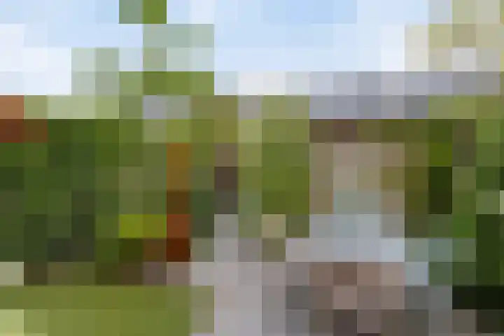 Munteltuinen 17 's-Hertogenbosch thumbnail 12