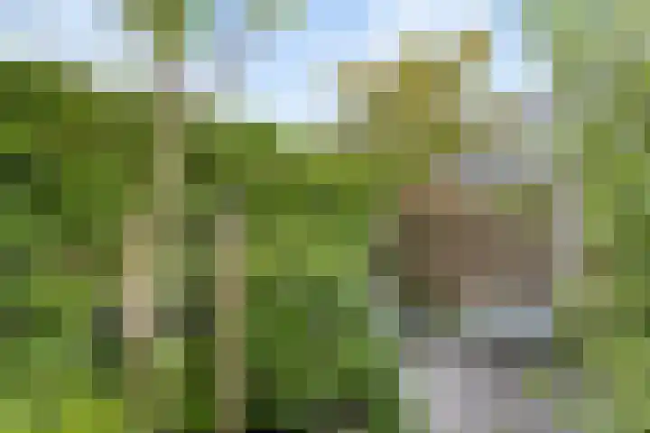 Munteltuinen 17 's-Hertogenbosch thumbnail 14