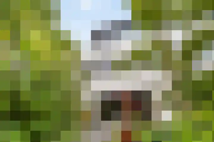 Munteltuinen 17 's-Hertogenbosch thumbnail 15