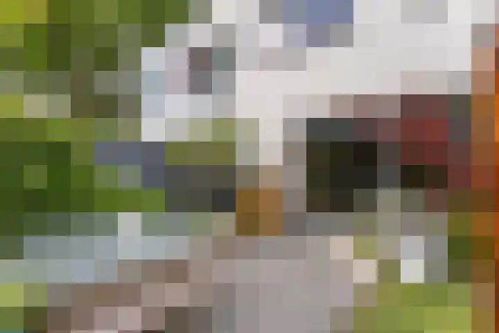 Munteltuinen 17 's-Hertogenbosch thumbnail 16