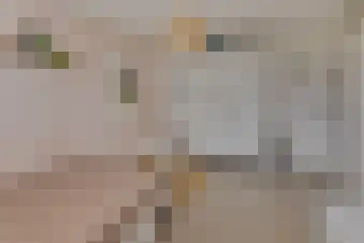 Munteltuinen 17 's-Hertogenbosch thumbnail 21