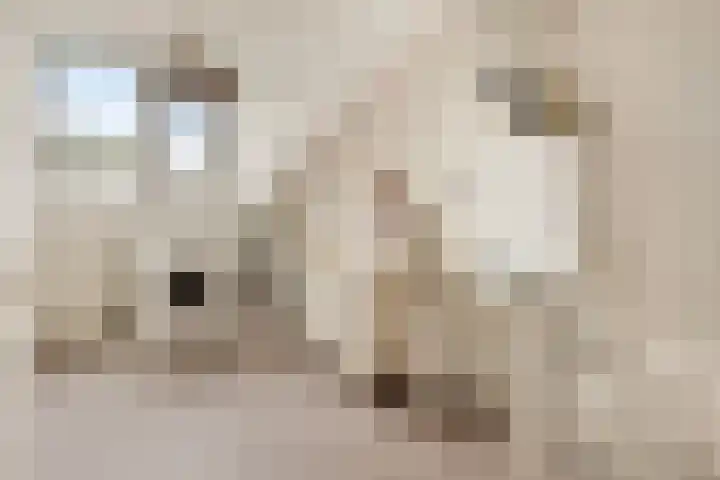 Munteltuinen 17 's-Hertogenbosch thumbnail 25