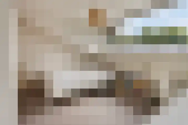 Munteltuinen 17 's-Hertogenbosch thumbnail 29