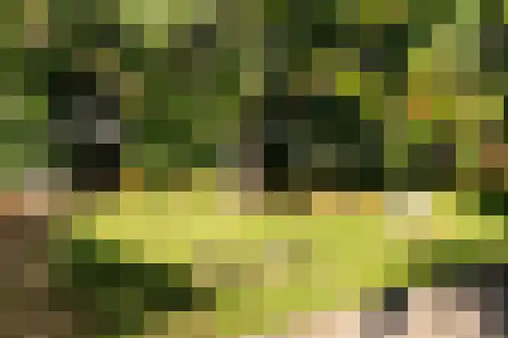 Munteltuinen 17 's-Hertogenbosch thumbnail 32