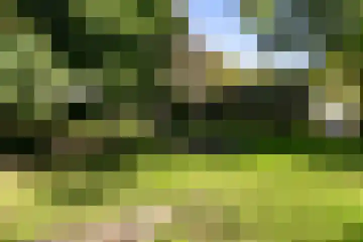 Munteltuinen 17 's-Hertogenbosch thumbnail 33