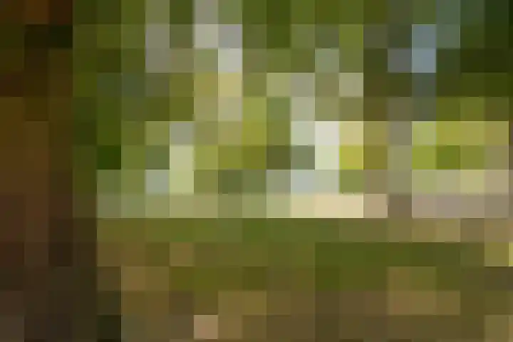 Munteltuinen 17 's-Hertogenbosch thumbnail 34