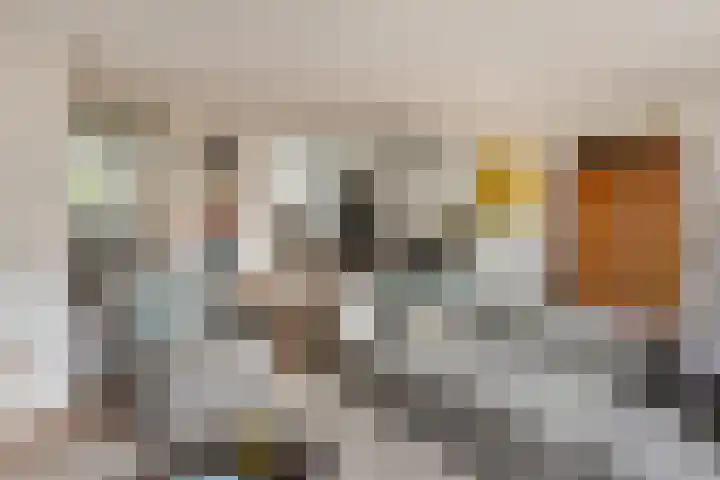 Munteltuinen 17 's-Hertogenbosch thumbnail 6