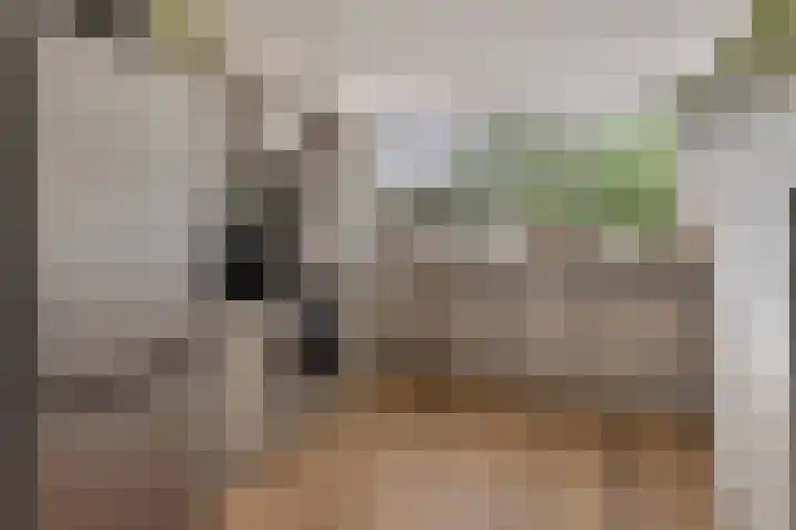 Munteltuinen 17 's-Hertogenbosch thumbnail 8