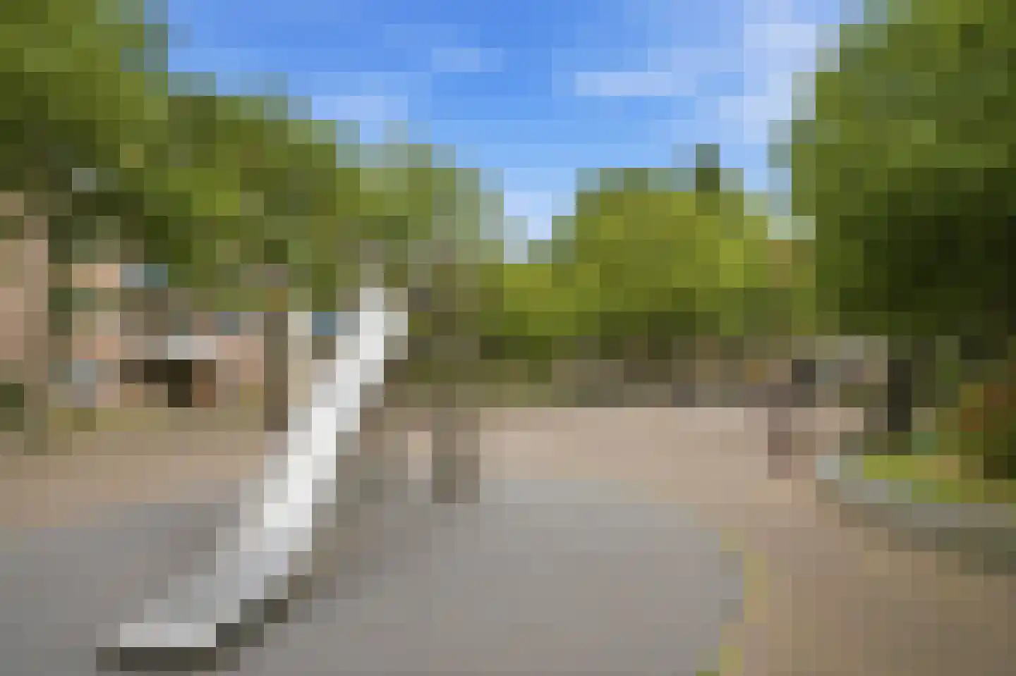 Muntendamstraat 22 Amsterdam thumbnail 31